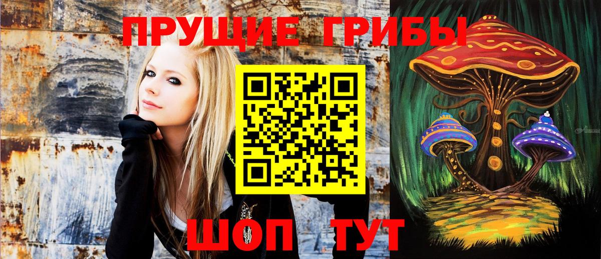 Галлюциногенные грибы Cubensis  Галлюциногенные грибы прущие грибы  Вход с VPN  Туапсе 